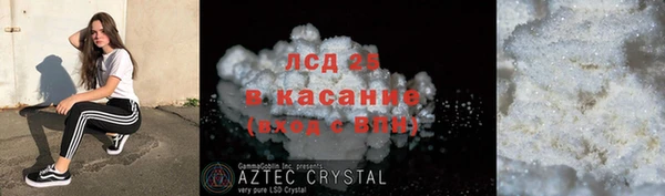твердый Аркадак