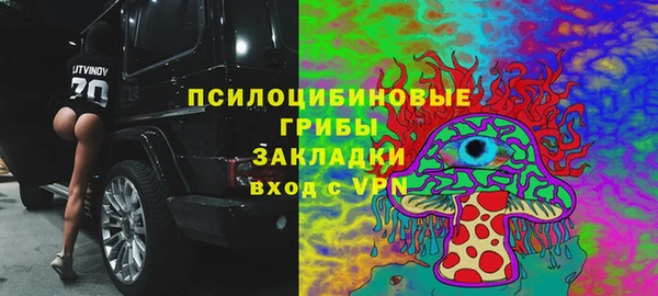 твердый Аркадак