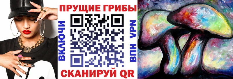 Галлюциногенные грибы GOLDEN TEACHER  гидра рабочий сайт  Семикаракорск 